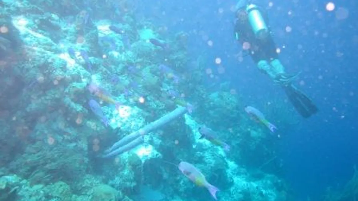 Shore Diving in Curaçao